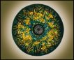 Daffodil 03 top view